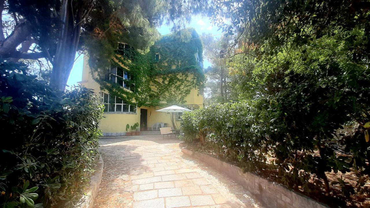 Old Captain'S Apartments - In A Pine Wood By The Sea And Tennis Courts สปลิท ภายนอก รูปภาพ