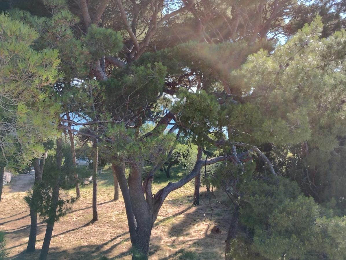 Old Captain'S Apartments - In A Pine Wood By The Sea And Tennis Courts สปลิท ภายนอก รูปภาพ